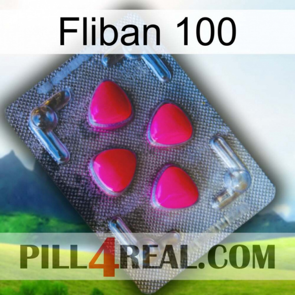 Fliban 100 13